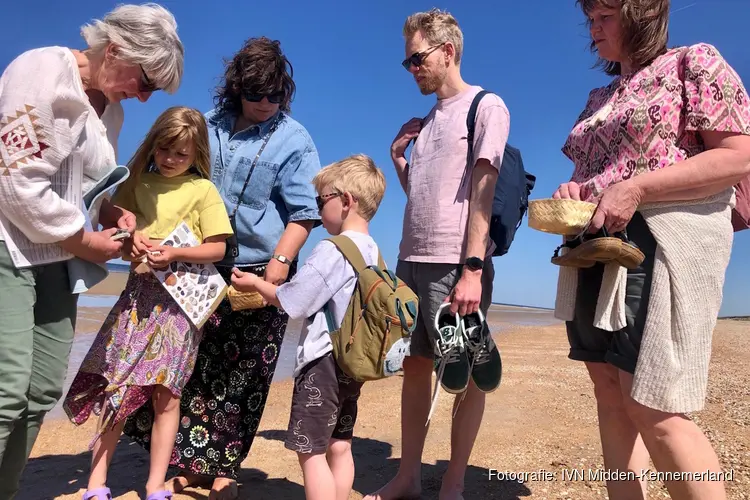 Op ontdekkingstocht op het strand en in de duinen