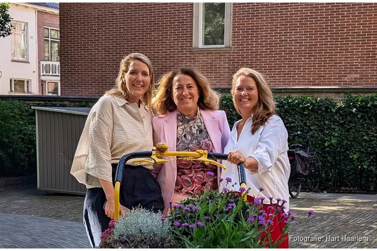 Attiya Gamri nieuwe voorzitter raad van toezicht Hart