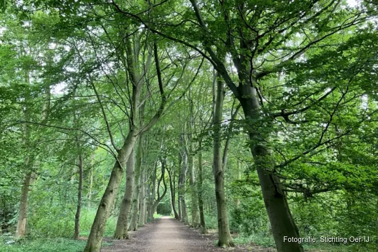 Stichting Oer-IJ organiseert een wandeling op zondag 20 september
