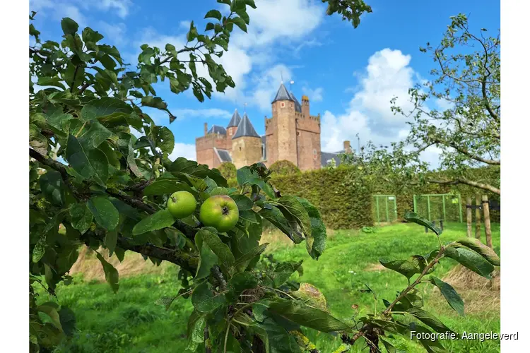 Leuke middag over appels voor kinderen naast Kasteel Assumburg