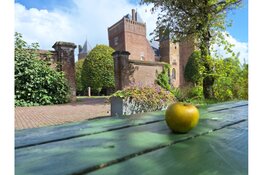 Leuke middag over appels voor kinderen naast Kasteel Assumburg