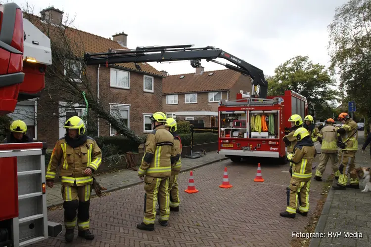 Boom valt op woonhuis in Heemskerk