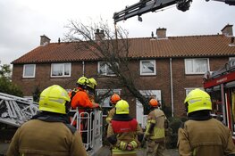 Boom valt op woonhuis in Heemskerk