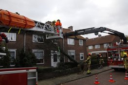 Boom valt op woonhuis in Heemskerk