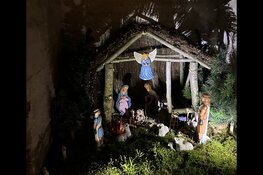 De hemel op een kier: Kerstwereld in Kathedraal Haarlem